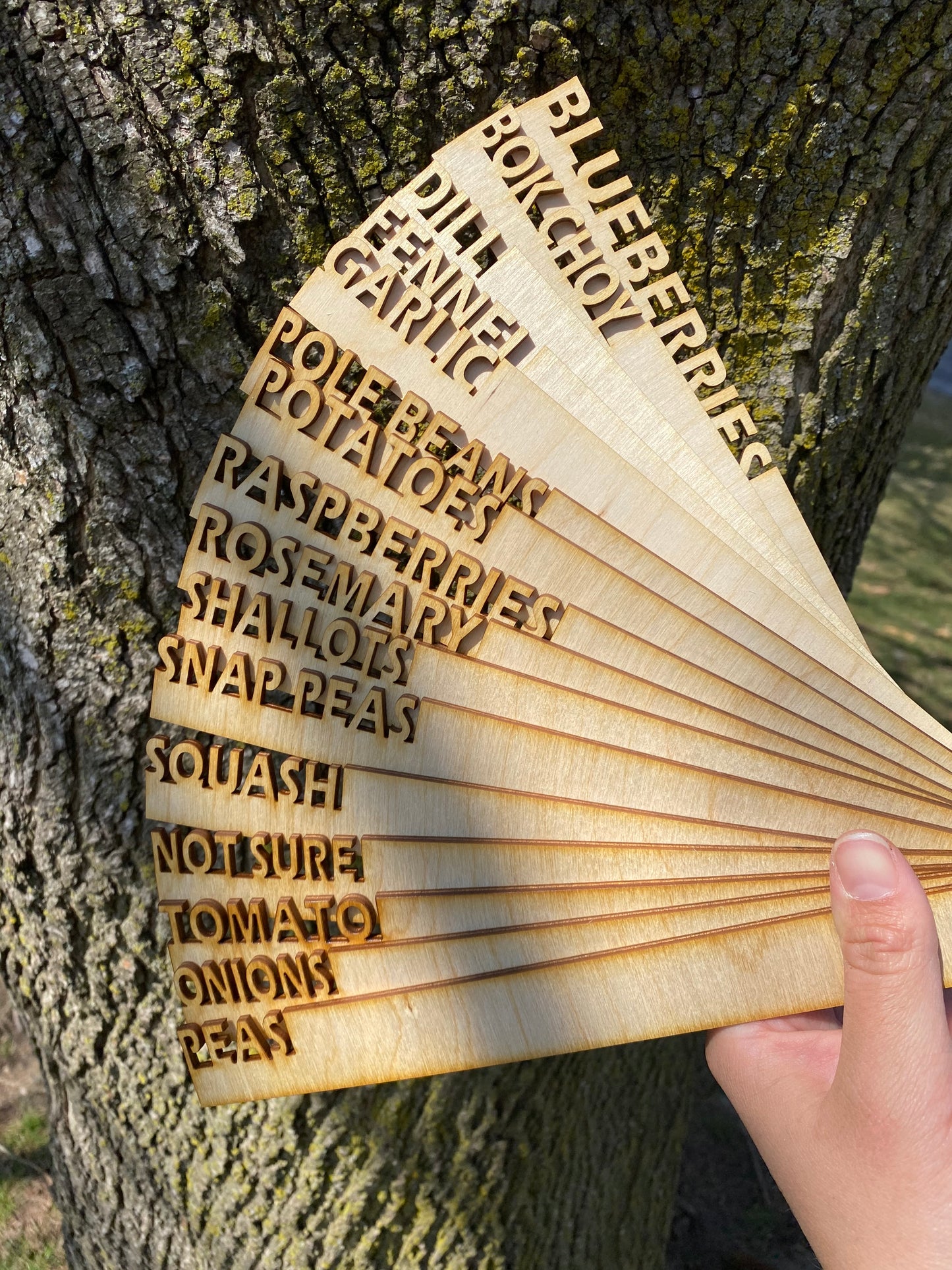 Garden Markers Wood