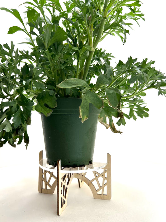 Plant Stand